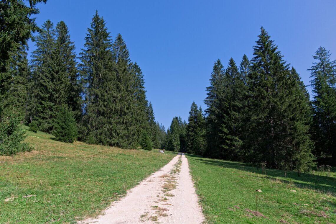 Pohorje-Kozjak hiking trail guide 2026 featuring scenic mountain views, forests, and alpine landscapes in Slovenia