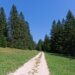 Pohorje-Kozjak hiking trail guide 2026 featuring scenic mountain views, forests, and alpine landscapes in Slovenia